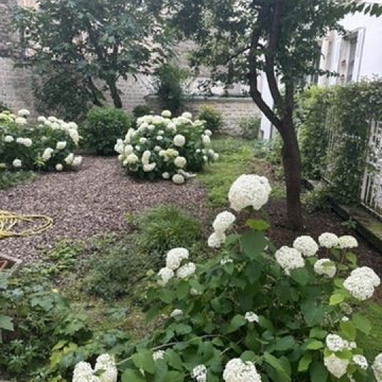  Annonces ALFORTVILLE : Appartement | PARIS (75009) | 30 m2 | 425 000 &euro; 