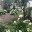  Annonces ALFORTVILLE : Appartement | PARIS (75009) | 30 m2 | 425 000 &euro; 